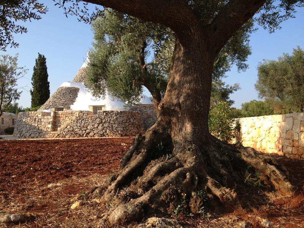 I Trulli Di Alice Villa Ceglie Messapica Buitenkant foto